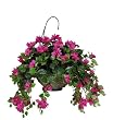 Artificial Dark Pink Bougainvillea Hanging Basket