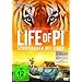 Life of Pi - Schiffbruch mit Tiger
