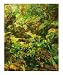 Lush Escape Scenic Giclee Poster Print by maria eames, 16x20