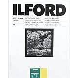 Ilford 11 x 14