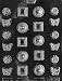 Fancy Assortment Candy Molds