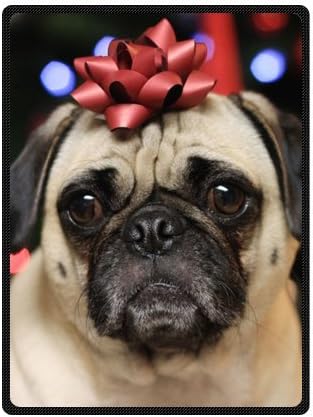 Stylish Pug Dog Cheap Blanket 58" x 80"(Large)