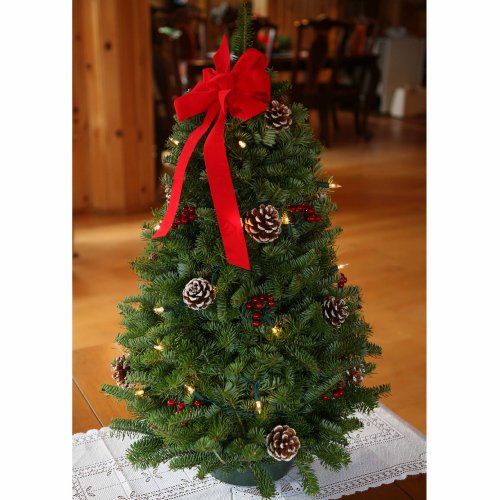 Worcester Christmas Wreath Classic Large Pre-Lit Tabletop Christmas Tree