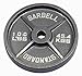 USA Sports Gray Olympic Plate – 100 lbs.