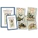 French Cartomancy MINI