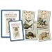 French Cartomancy MINI