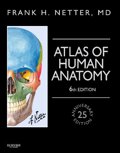 Atlas of Human Anatomy, Professional Edition: including NetterReference.com Access with Full Downloadable Image Bank, 6e (Netter Basic Science)