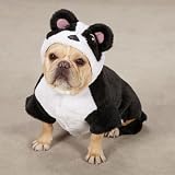 Casual Canine Panda Pup Dog Costume, Small, Black