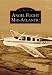 Book Angel Flight Mid-Atlantic (Images of Aviation: Virginia)