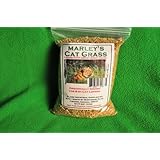 Marley's Cat Grass, Wheat Grass 1 Pound - 20,000 Seeds - Best Value + Free Gift