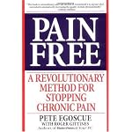 Pain Free: A Revolutionary Method for Stopping Chronic Pain book cover