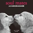 ふたりの絆を深める６０の言葉<br>トム・バーンズ編 黒宮 純子訳 <br>ピエ・ブックス<br>1050円<br>ISBN:9784894448841