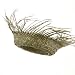 51m 1clou L. AA75  Bird Nest Hats Straw