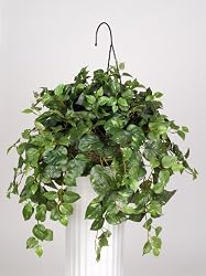 Artificial Pothos Hanging Basket