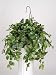 Artificial Pothos Hanging Basket