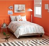 DwellStudio Skyline Twin Duvet Set