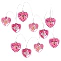 Disney Princess String Lights