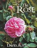 The rose