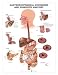 Chart - Gastroesophageal Disorders and Digestive Anatomy
