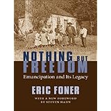 nothing but freedom emancipation and its legacy