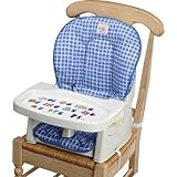 The First Year's Newborn-To-Toddler Reclining Feeding Seat