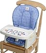 The First Year's Newborn-To-Toddler Reclining Feeding Seat