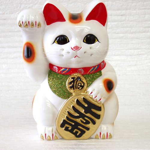 招き猫 白小判 8号右手 開運