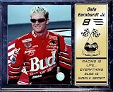 Dale Earnhardt Jr. 12