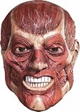 Skinner Mask