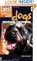 Best Hikes With Dogs: Southern California