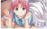 ARIA ���ꥢ �����������ŵ�ƥ쥫/�Ȥ�Τ���