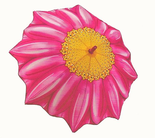 Pink Gerbera Daisy Child's Umbrella Manual Open Curved Handle W/id Tag