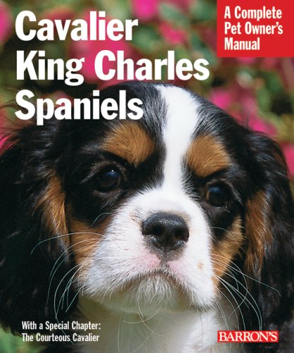cavalier king charles spaniel