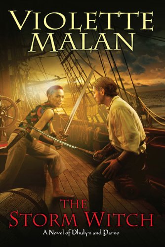 The Storm Witch: A Novel of Dhulyn and Parno Book Image