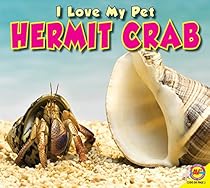 Hermit Crab (I Love My Pet)