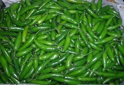 Serrano Pepper * Distinctive Flavored * Hot * Everbearing * Pico De Gallo *