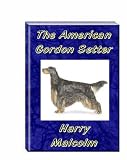 The American Gordon Setter