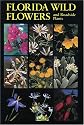 Florida Wild Flowers and Roadside Plants