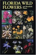 Florida Wild Flowers and Roadside Plants