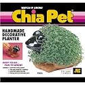 Chia Pet Handmade Decorative Planter- Frog