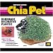 Chia Pet Handmade Decorative Planter- Frog