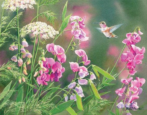 Perfect Timing - Lang Wild Sweet Pea Boxed Notecard by Susan Bourdet, 4 x 5 inches, 13 Cards and Envelopes (1005246)