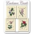 Spring Flowers - Set of Four Gift Cards and Vellum Envelopes