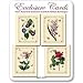 Spring Flowers - Set of Four Gift Cards and Vellum Envelopes