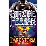 dark storm carpathian novel a