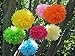 Orino8482; Pom Poms - 5pcs 2 Sizes Tissue Paper Flowers, Tissue Paper Pom Poms, Wedding Decor, Party Decor, Pom Pom Flowers, Tissue Paper, Tissue Paper Flowers Kit, Pom Poms Craft, Wedding Pom Poms, Pom Poms Decoration (Blue&Light Blue)