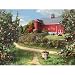  : Apple Picking Time Jigsaw Puzzle 550pc