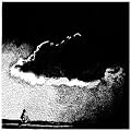 To the Beat of a Dead Horse [Vinyl LP]