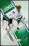 Canucks - R Luongo 2010 Lamina Framed Poster Print, 23x35