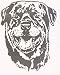 Dog Rubber Stamp - Rottweiler - 4E